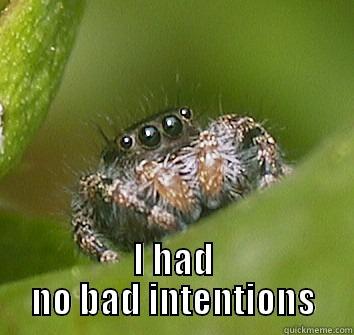 I had no bad intentions Misunderstood Spider 2 -  I HAD NO BAD INTENTIONS Misunderstood Spider