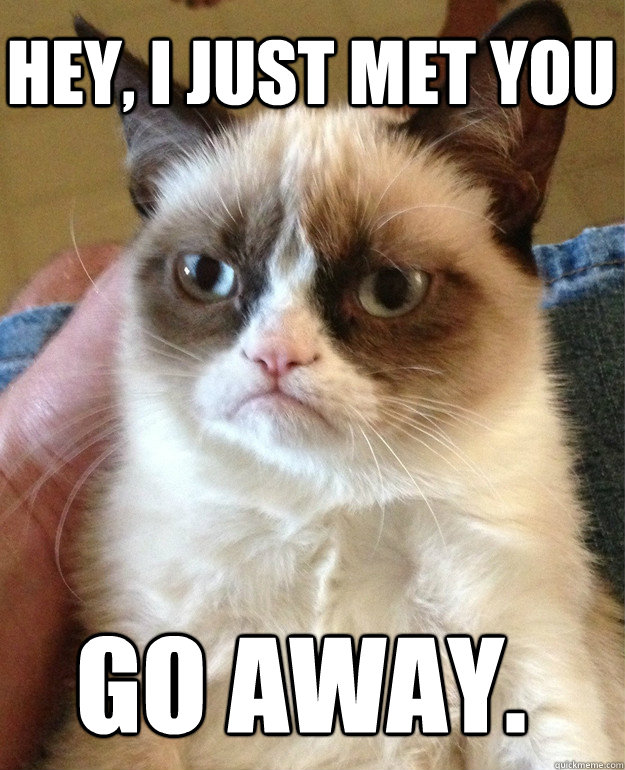 Hey, I Just met you Go away.  Grumpy Cat