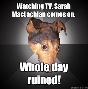 Watching TV, Sarah MacLachlan comes on.  Whole day ruined!  Depression Dog