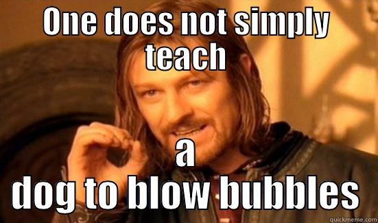 ONE DOES NOT SIMPLY TEACH A DOG TO BLOW BUBBLES Boromir