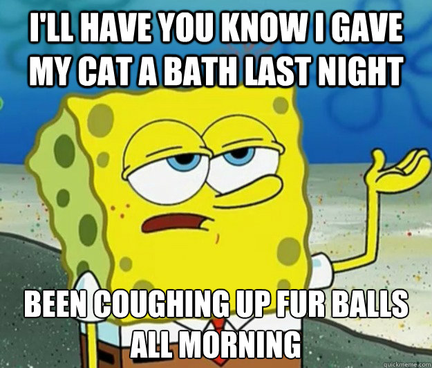 I'll have you know i gave my cat a bath last night Been coughing up fur balls all morning  Tough Spongebob