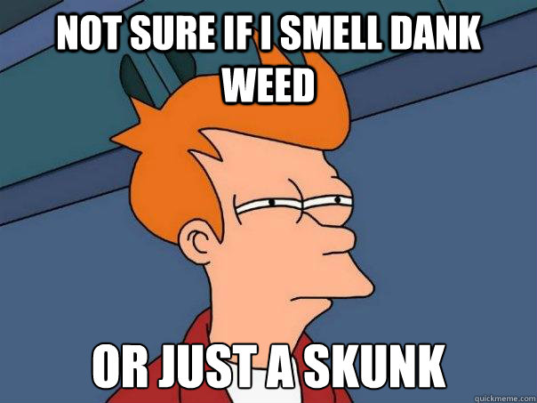 Not sure if I smell dank weed Or just a skunk  Futurama Fry