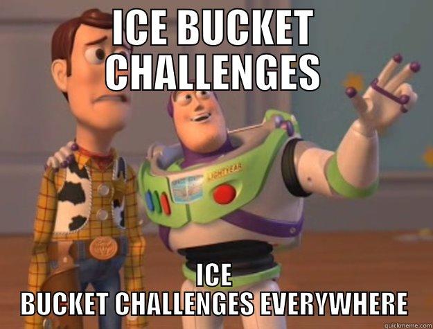 ICE BUCKET CHALLENGES ICE BUCKET CHALLENGES EVERYWHERE Toy Story