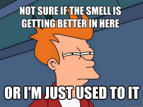 not sure if the smell is getting better in here or I'm just used to it  Futurama Fry