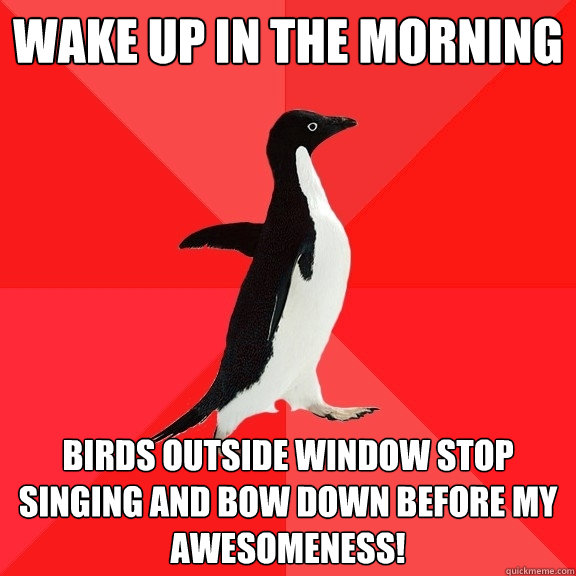 Wake up in the morning Birds outside window stop singing and bow down before my awesomeness!  Socially Awesome Penguin