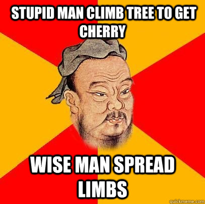  stupid man climb tree to get cherry  wise man spread limbs -  stupid man climb tree to get cherry  wise man spread limbs  Confucius says