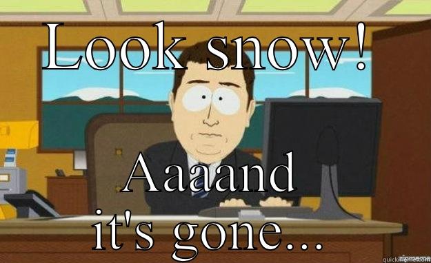 LOOK SNOW! AAAAND IT'S GONE... aaaand its gone