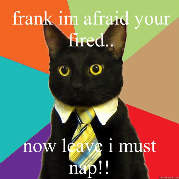 frank im afraid your fired.. now leave i must nap!!  Business Cat