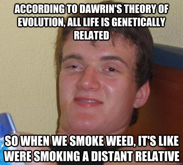 According to dawrin's theory of evolution, all life is genetically related so when we smoke weed, it's like were smoking a distant relative  10 Guy