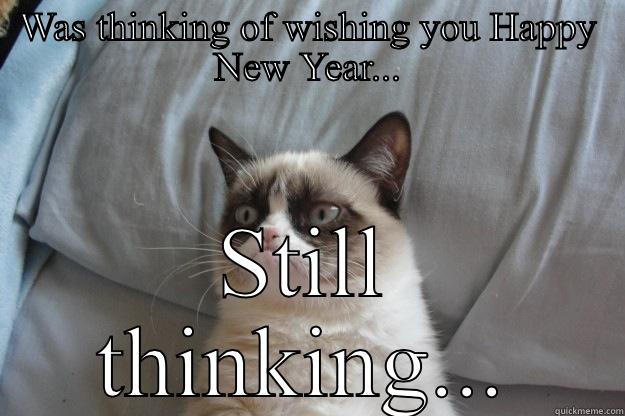 WAS THINKING OF WISHING YOU HAPPY NEW YEAR... STILL THINKING... Grumpy Cat