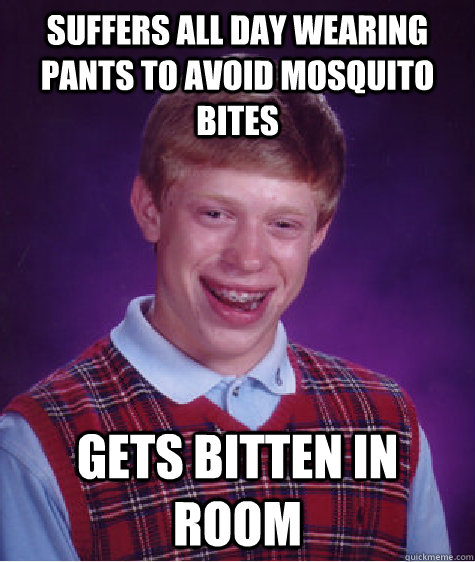 Suffers all day wearing pants to avoid mosquito bites Gets bitten in room - Suffers all day wearing pants to avoid mosquito bites Gets bitten in room  Bad Luck Brian