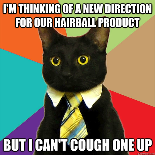 I'm thinking of a new direction for our hairball product But I can't cough one up  Business Cat