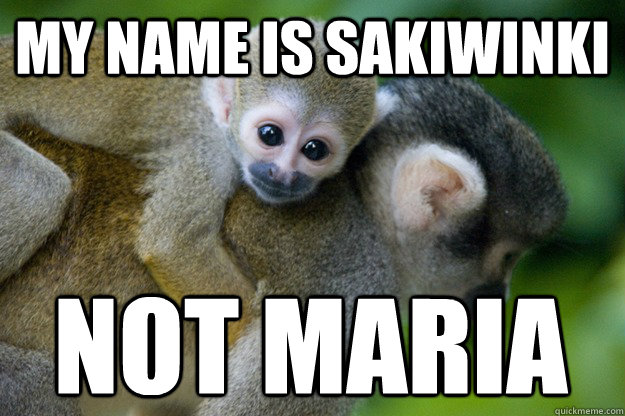 my name is sakiwinki not maria - my name is sakiwinki not maria  NOTasha