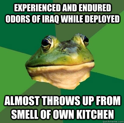 Experienced and endured odors of Iraq while deployed Almost throws up from smell of own kitchen  Foul Bachelor Frog