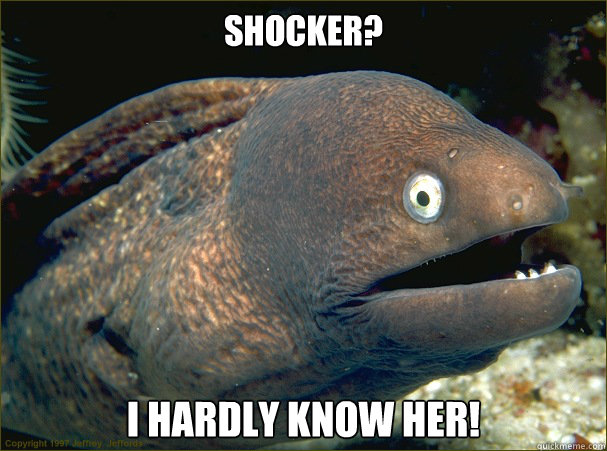 Shocker? I Hardly know Her! - Shocker? I Hardly know Her!  Bad Joke Eel