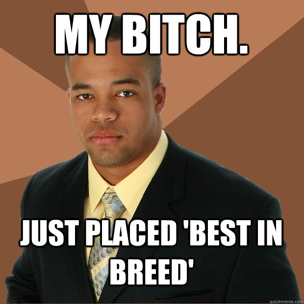 My bitch. Just placed 'Best in breed'  Successful Black Man