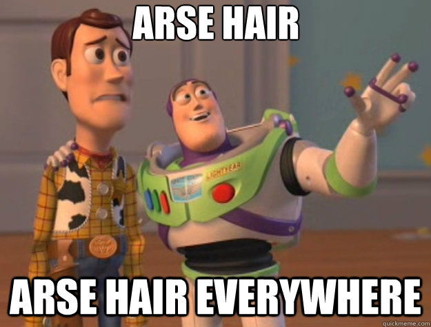 Arse hair arse hair everywhere  Toy Story