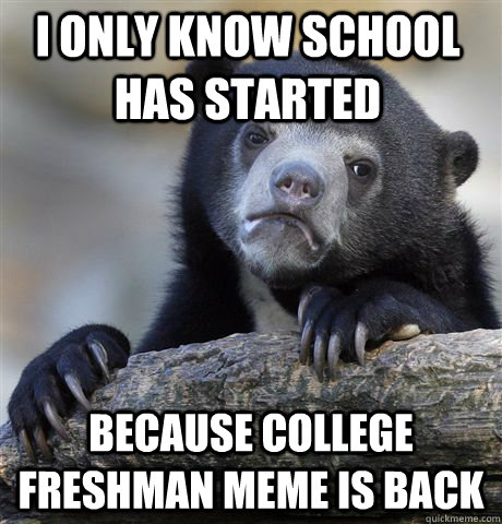 I only know school has started because college freshman meme is back - I only know school has started because college freshman meme is back  Confession Bear