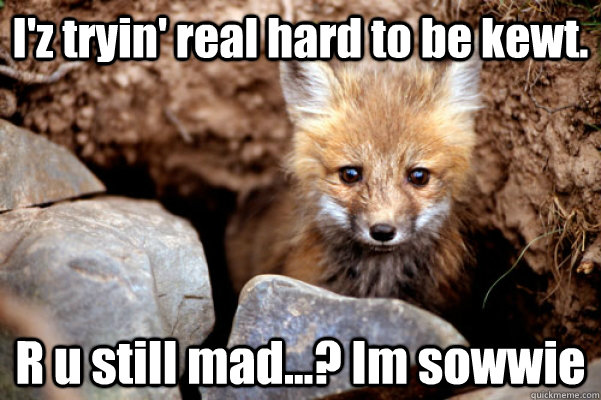 I'z tryin' real hard to be kewt. R u still mad...? Im sowwie - I'z tryin' real hard to be kewt. R u still mad...? Im sowwie  baby fox sorry