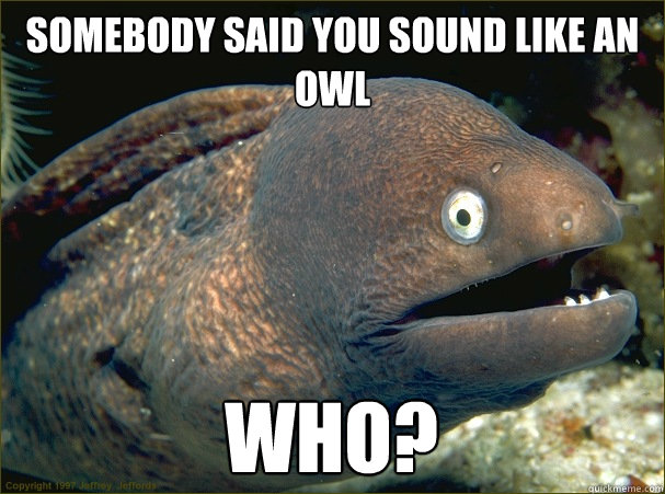 Somebody said you sound like an owl who?  Bad Joke Eel