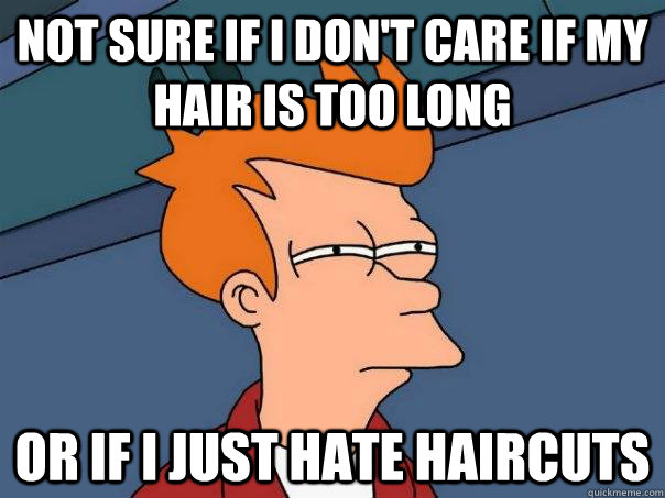 Not sure if i don't care if my hair is too long or if i just hate haircuts  Futurama Fry