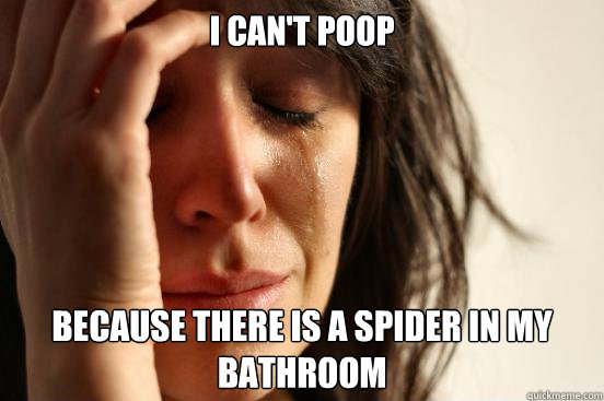 I can't poop because there is a spider in my bathroom - I can't poop because there is a spider in my bathroom  First World Problems