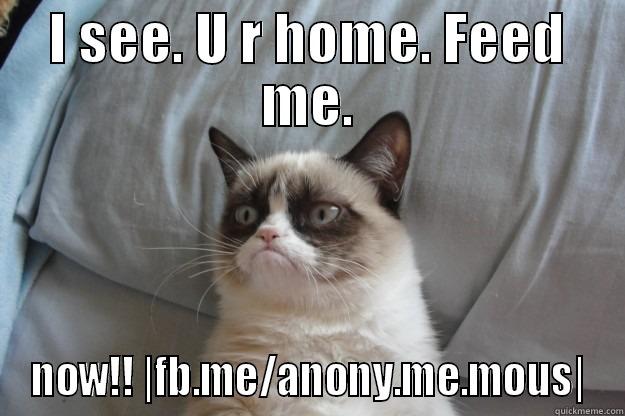 I SEE. U R HOME. FEED ME. NOW!! |FB.ME/ANONY.ME.MOUS| Grumpy Cat