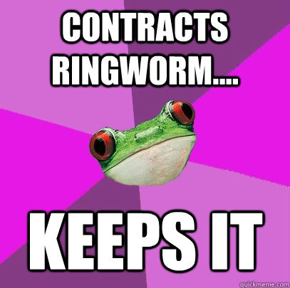 Contracts ringworm.... keeps it  - Contracts ringworm.... keeps it   Foul Bachelorette Frog