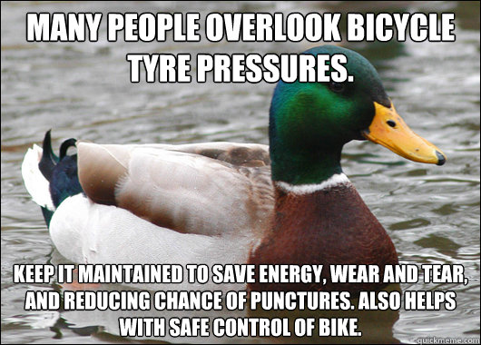 Many people overlook bicycle tyre pressures. Keep it maintained to save energy, wear and tear, and reducing chance of punctures. Also helps with safe control of bike. - Many people overlook bicycle tyre pressures. Keep it maintained to save energy, wear and tear, and reducing chance of punctures. Also helps with safe control of bike.  Actual Advice Mallard