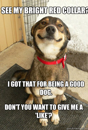 see my bright red collar? I got that for being a good dog. don't you want to give me a 'like'? - see my bright red collar? I got that for being a good dog. don't you want to give me a 'like'?  Good Dog Greg