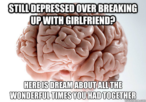 Still depressed over breaking up with girlfriend? Here is dream about all the wonderful times you had together   Scumbag Brain