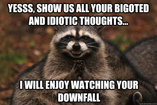 Yesss, show us all your bigoted and idiotic thoughts... I will enjoy watching your downfall  Evil Plotting Raccoon