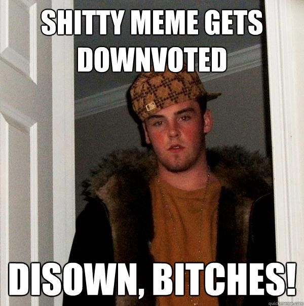 shitty meme gets downvoted disown, bitches! - shitty meme gets downvoted disown, bitches!  Scumbag Steve