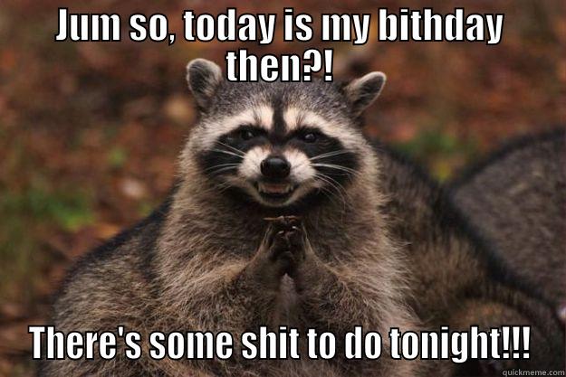 JUM SO, TODAY IS MY BITHDAY THEN?! THERE'S SOME SHIT TO DO TONIGHT!!! Evil Plotting Raccoon