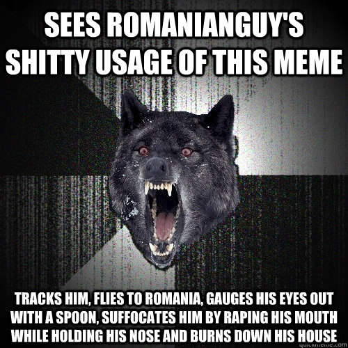 Sees romanianguy's shitty usage of this meme tracks him, flies to romania, gauges his eyes out with a spoon, suffocates him by raping his mouth while holding his nose and burns down his house  Insanity Wolf