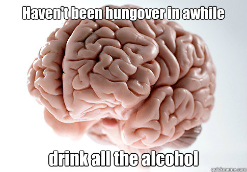 Haven't been hungover in awhile drink all the alcohol   Scumbag Brain