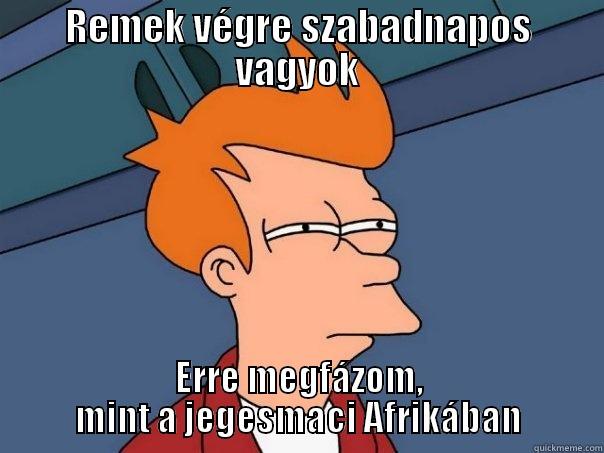 REMEK VÉGRE SZABADNAPOS VAGYOK ERRE MEGFÁZOM, MINT A JEGESMACI AFRIKÁBAN Futurama Fry