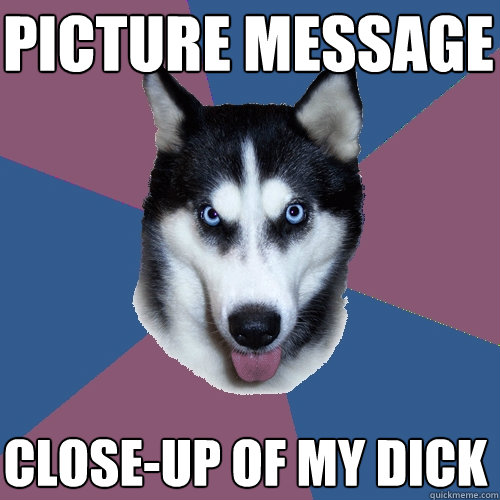 picture message close-up of my dick  Creeper Canine