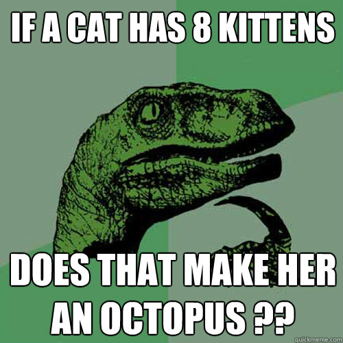 If a cat has 8 kittens Does that make her an octopus ??  Philosoraptor