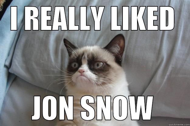 I REALLY LIKED JON SNOW Grumpy Cat