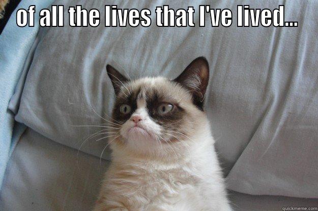 OF ALL THE LIVES THAT I'VE LIVED...  Grumpy Cat