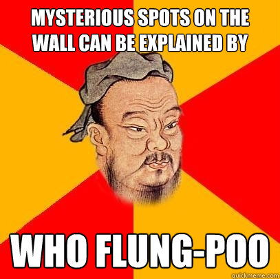 Mysterious spots on the wall can be explained by who flung-poo  Confucius says