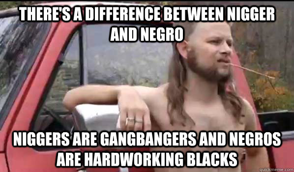 There's a difference between nigger and negro Niggers are gangbangers and negros are hardworking blacks  Almost Politically Correct Redneck