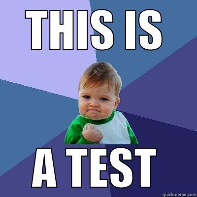 This is a test - THIS IS A TEST Success Kid