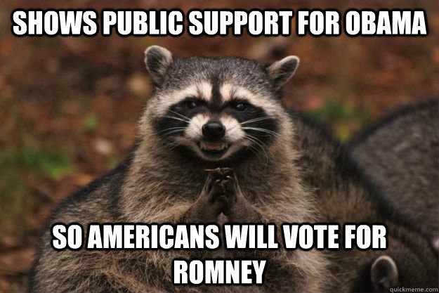 SHOWS PUBLIC SUPPORT FOR OBAMA  SO AMERICANS WILL VOTE FOR ROMNEY  Evil Plotting Raccoon