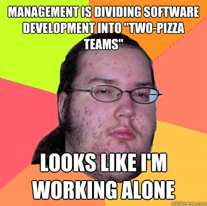 management is dividing software development into 