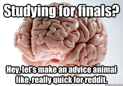 Studying for finals? Hey, let's make an advice animal like, really quick for reddit.   Scumbag Brain