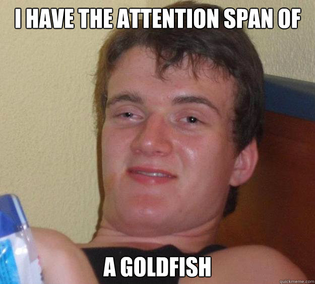 I have the attention span of a goldfish  10 Guy