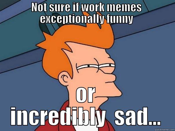 NOT SURE IF WORK MEMES EXCEPTIONALLY FUNNY OR INCREDIBLY  SAD... Futurama Fry