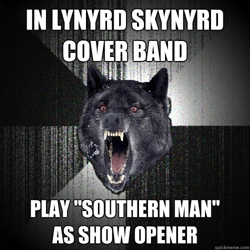 IN LYNYRD SKYNYRD COVER BAND PLAY 